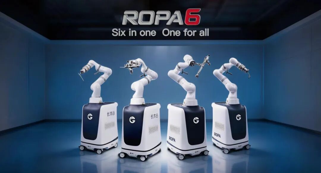 Figure 11.4: Official graphic of six orthopedic configurations embedded in the Beijing Municipal Government notice of ROPA6 NMPA Class III registration. It visualizes the regulatory event but does not itself display a certificate number, clinical comparison, or performance superiority. Source: Beijing Municipal Government 2026 official notice